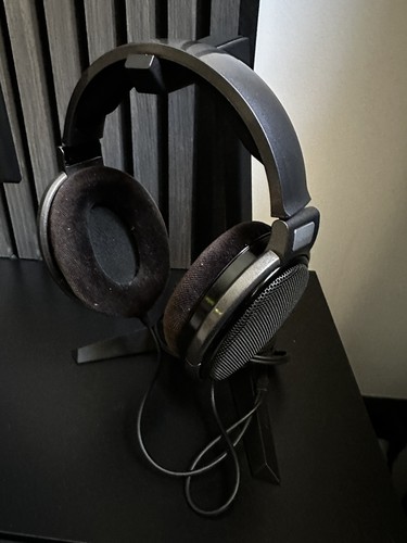 Sennheiser 650 cuffie - sennheiser, hd